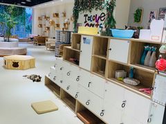 -藏猫猫咖啡主题馆(中央大道店)