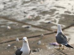 -星海广场