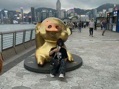 -星光大道