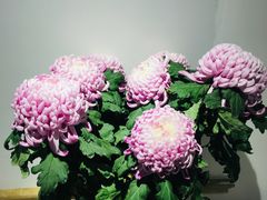 -汇龙潭