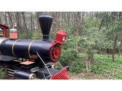 -合肥滨湖国家森林公园