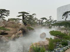 -罗红摄影艺术馆