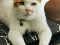 -平行世界·猫咖(首经贸店)