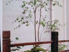 -竹幸日本料理(国光1937科技文化创意园店)