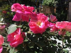 -人民公园(罗湖区)