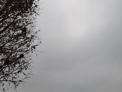 -迪士尼小镇