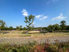 -盘龙城国家考古遗址公园