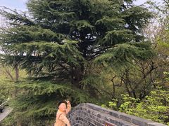 -虞山城墙