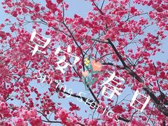 -昆明动物园