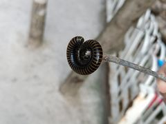 -湖洞水自然风景区