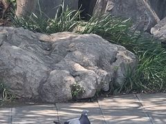 -翰园碑林