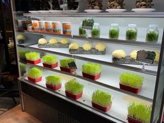 -番食园鲜食火锅(高新店)