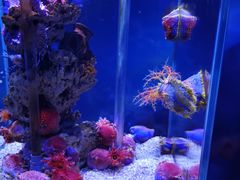 -太平洋海底世界