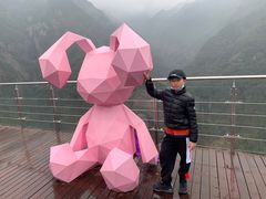 -龙湾潭国家森林公园