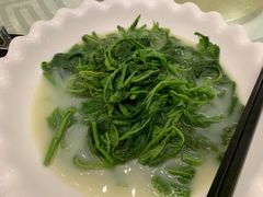 -五谷芳乳鸽王(海景店)