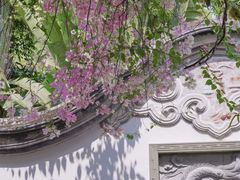 -深圳国际园林花卉博览园