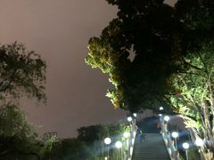 -金砂公园