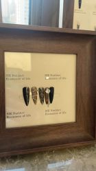 -Lumi露米·美甲美睫品质店