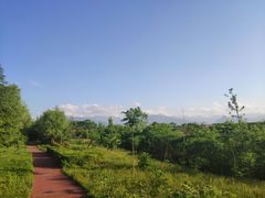 -洨河生态公园