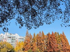-华东政法大学(松江校区)
