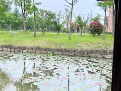 -宁波杭州湾国家湿地公园