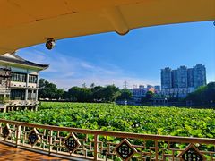 -荔湾湖公园