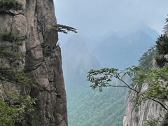 -黄山风景区