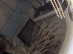 -中农国际动物医院24小时·猫科·骨科·急重症中心