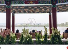 -庾园
