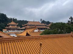 -深圳仙湖植物园