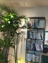 -芳香乐府疗愈空间·SPA·冥想