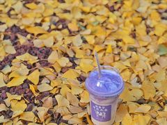 -鹤茶野所(上海首店)