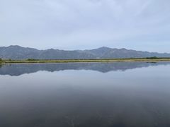 -野鸭湖国家湿地公园
