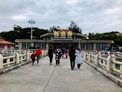 -国际邮轮中心码头(厦鼓码头)