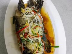 -大班家政月嫂育儿嫂(深圳NO.1店)