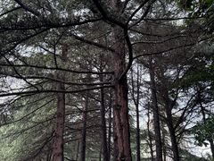 -黄兴公园