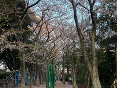 -莲洞本家