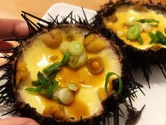 海胆蒸蛋-海胆小馆(春柳店)