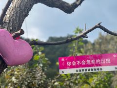 -京北渔家傲