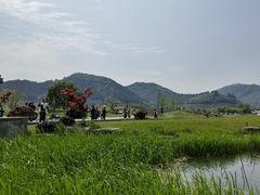 -径山花海