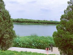 -素心小筑(后沙裕镇店)