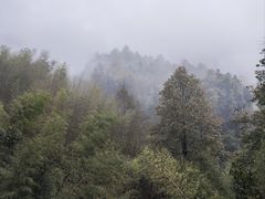-崀山风景名胜区
