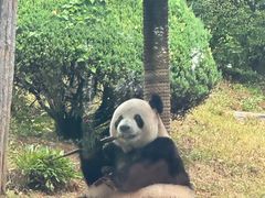 -大连森林动物园