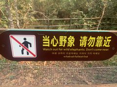 -野象谷景区