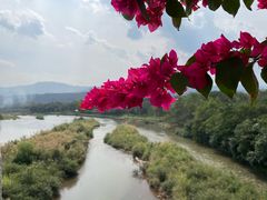 -中国科学院西双版纳热带植物园