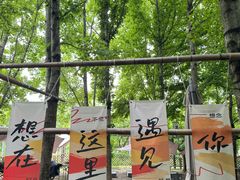 -龙寺生态园