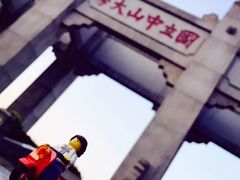 -中山大学学者灵芝(园南路店)