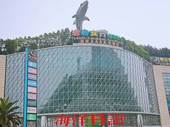 -成都浩海立方海洋公园