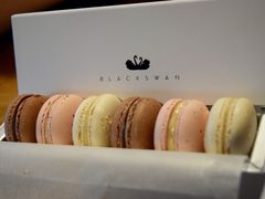 -BLACKSWAN黑天鹅(环球店)