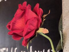 -TINY